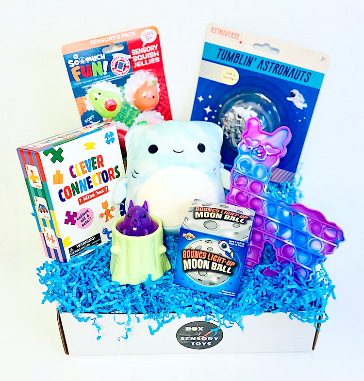 FIDGET TOYS BOX 💛 (Monthly)