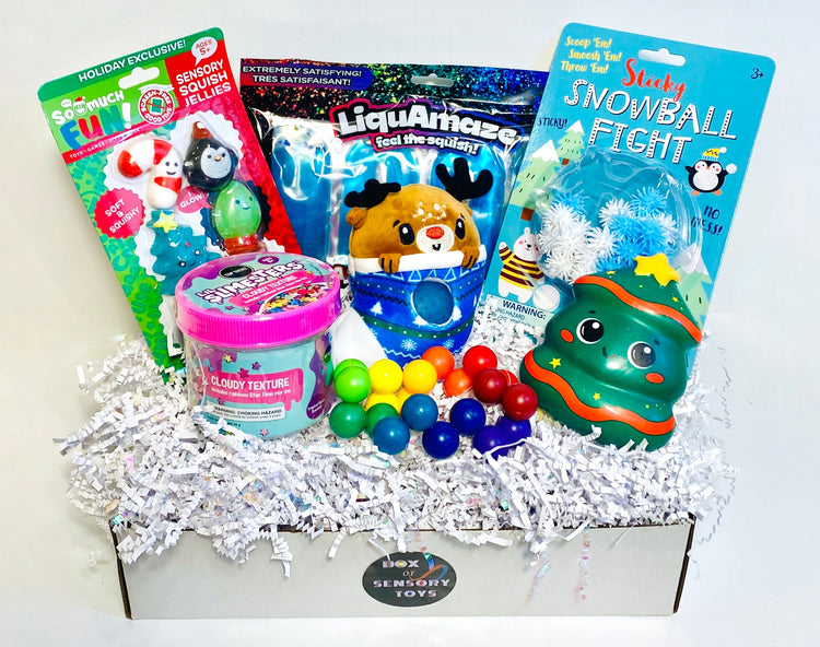 Holiday Fidget Toy Box 