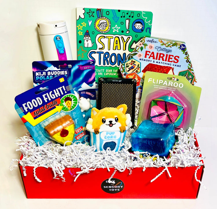 School Sensory Toy Box
