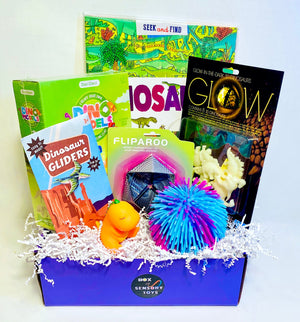 Dinosaurs Box of Sensory Toys